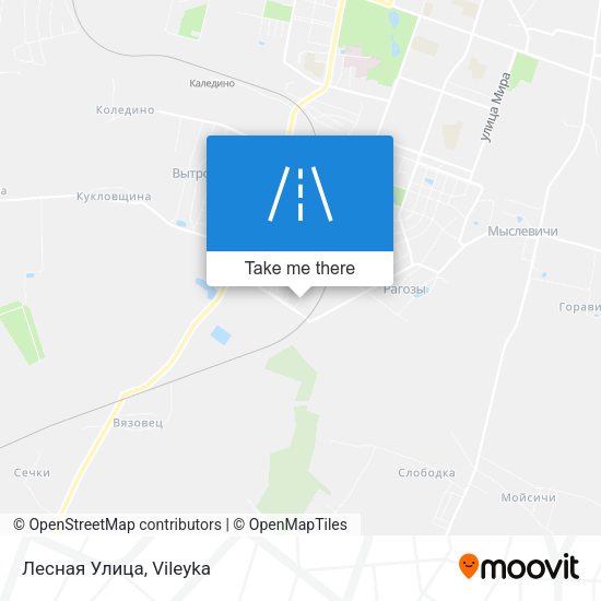 Лесная Улица map