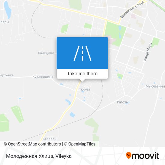 Молодёжная Улица map