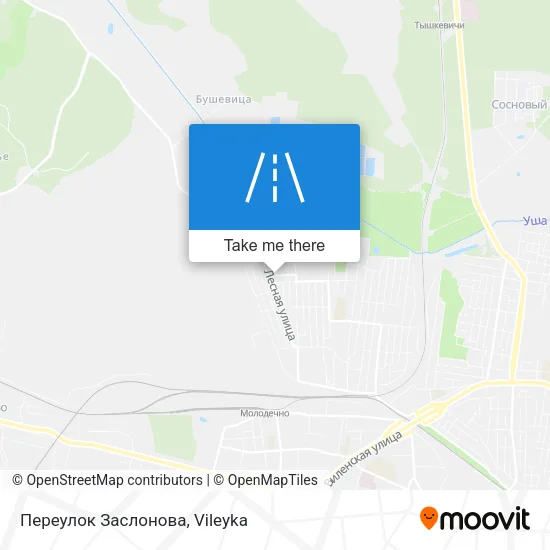 Переулок Заслонова map