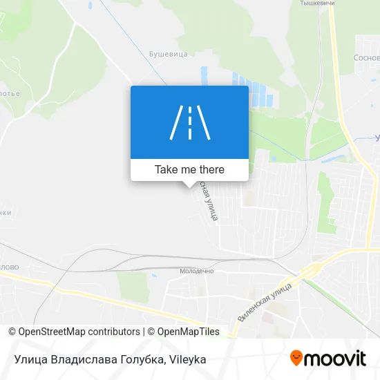 Улица Владислава Голубка map