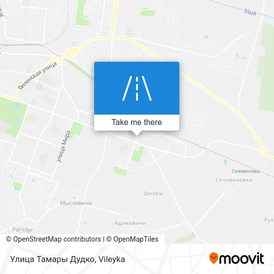 Улица Тамары Дудко map