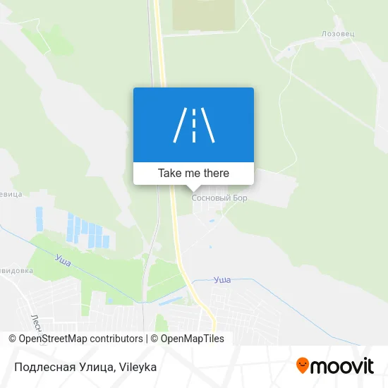 Подлесная Улица map