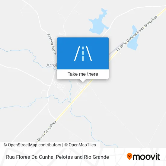 Rua Flores Da Cunha map