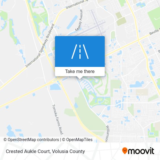 Crested Aukle Court map