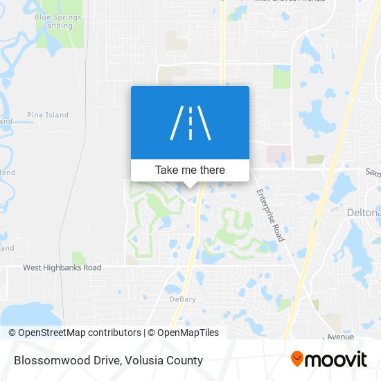 Mapa de Blossomwood Drive