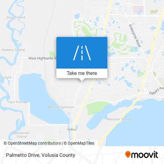 Palmetto Drive map