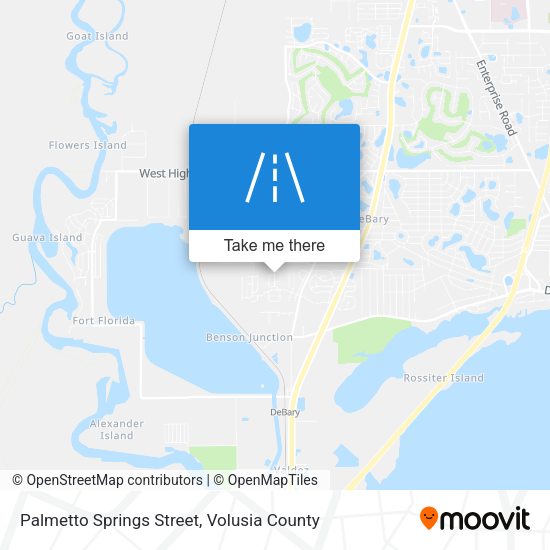 Palmetto Springs Street map