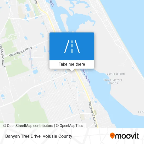 Banyan Tree Drive map