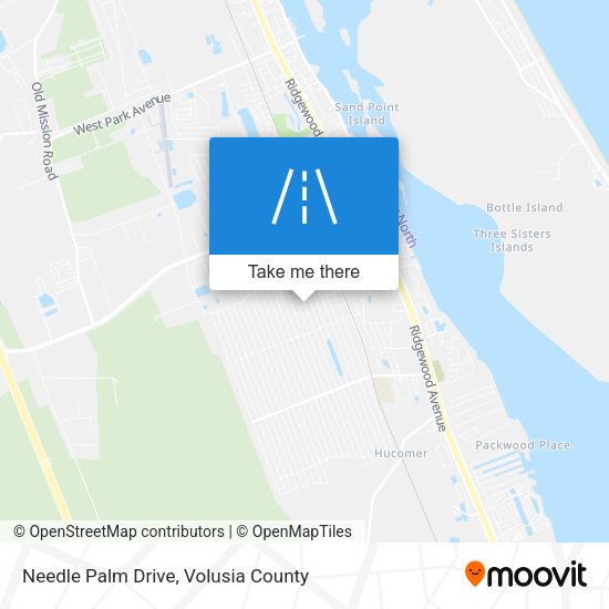 Needle Palm Drive map