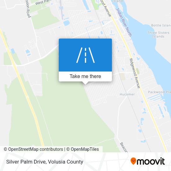 Mapa de Silver Palm Drive
