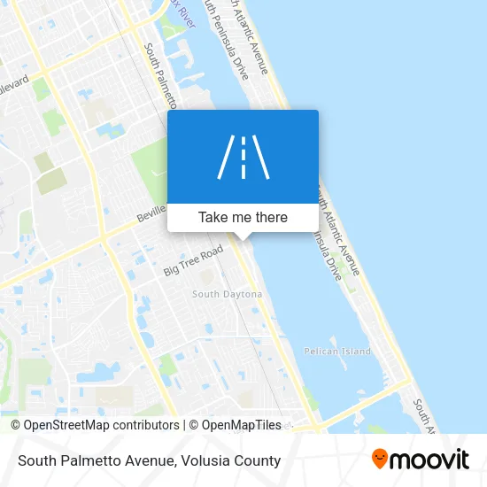 Mapa de South Palmetto Avenue