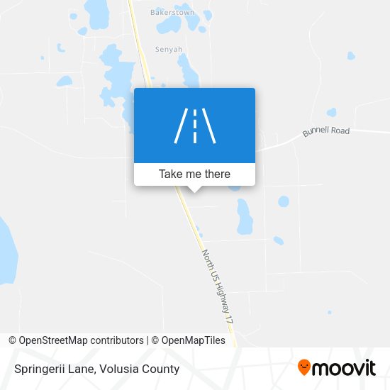 Mapa de Springerii Lane