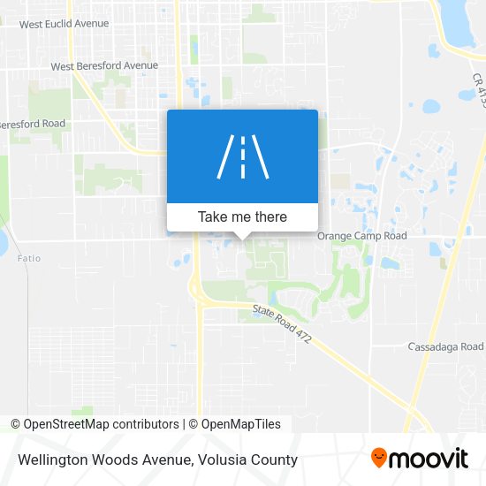 Mapa de Wellington Woods Avenue