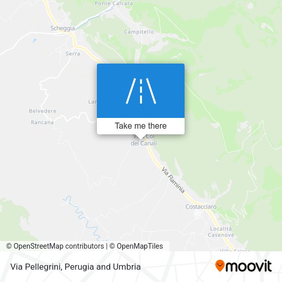 Via Pellegrini map