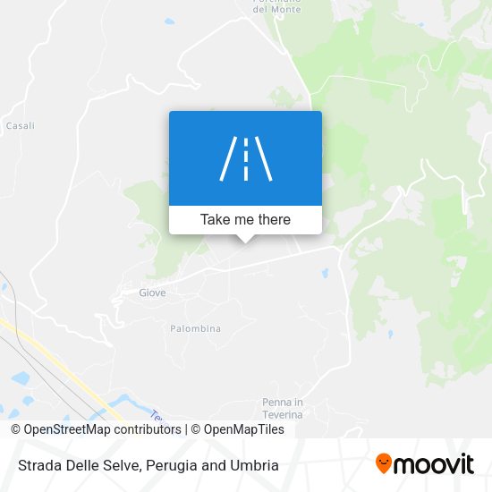 Strada Delle Selve map