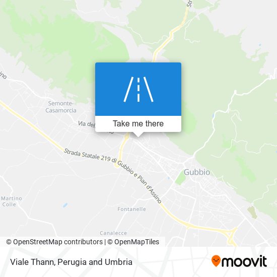 Viale Thann map