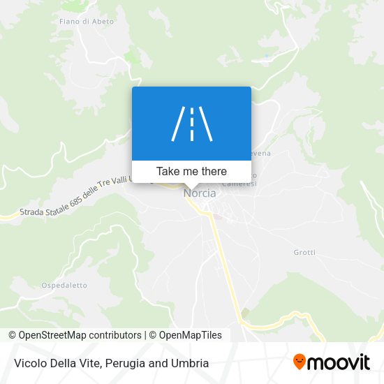 Vicolo Della Vite map