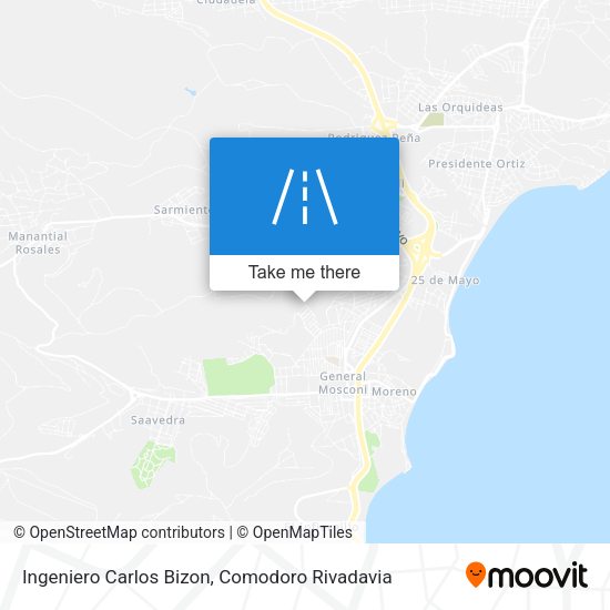 Ingeniero Carlos Bizon map