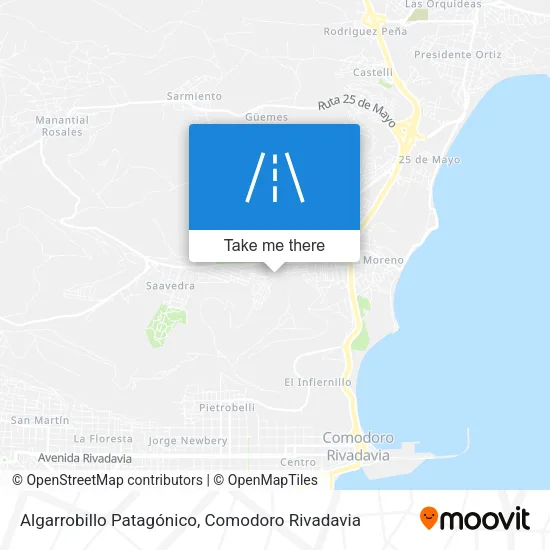 Algarrobillo Patagónico map