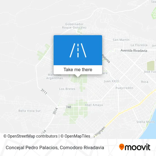Mapa de Concejal Pedro Palacios