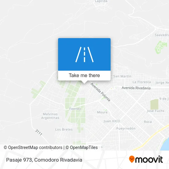 Pasaje 973 map