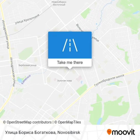 Улица Бориса Богаткова map