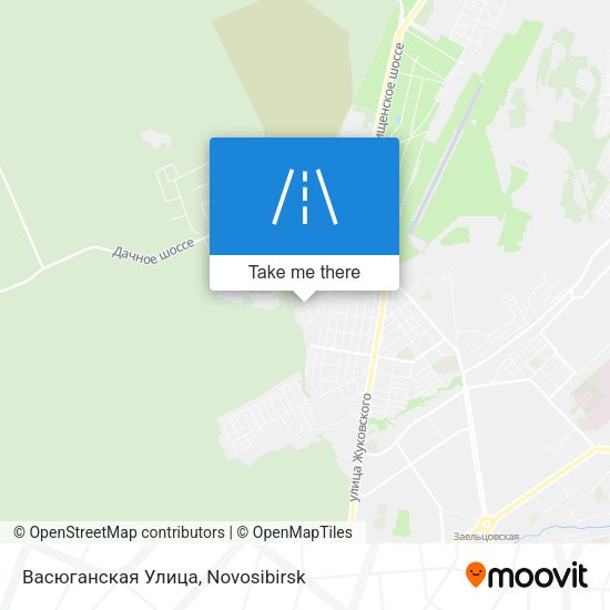 Васюганская Улица map