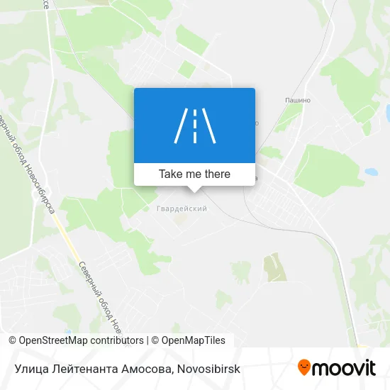 Улица Лейтенанта Амосова map