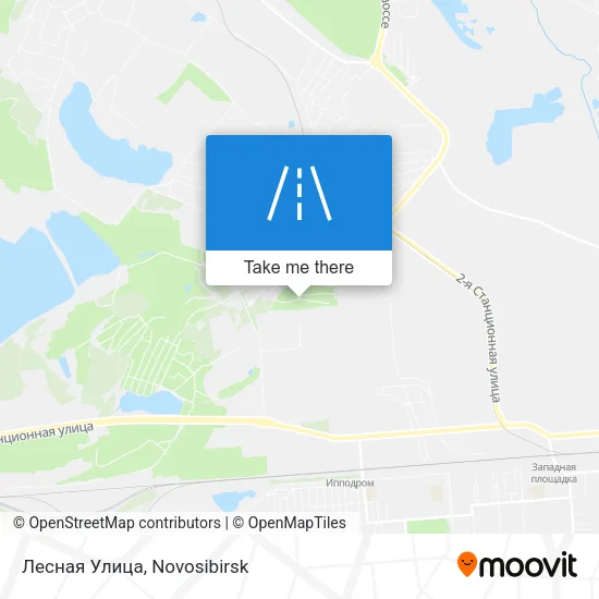Лесная Улица map
