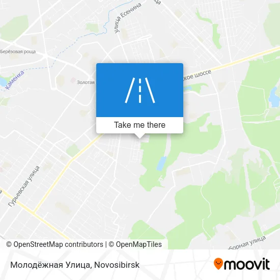 Молодёжная Улица map