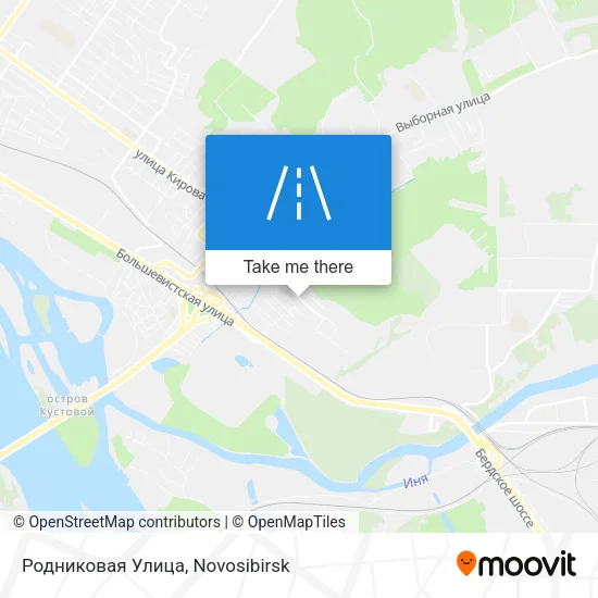 Родниковая Улица map