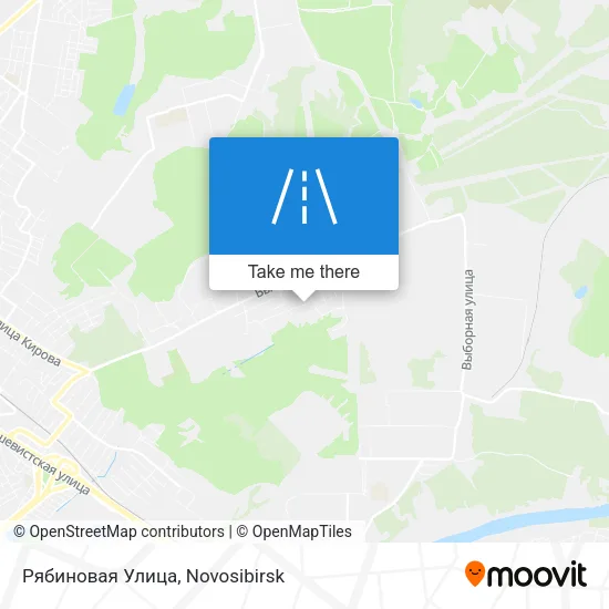 Рябиновая Улица map