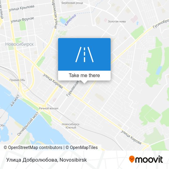 Улица Добролюбова map