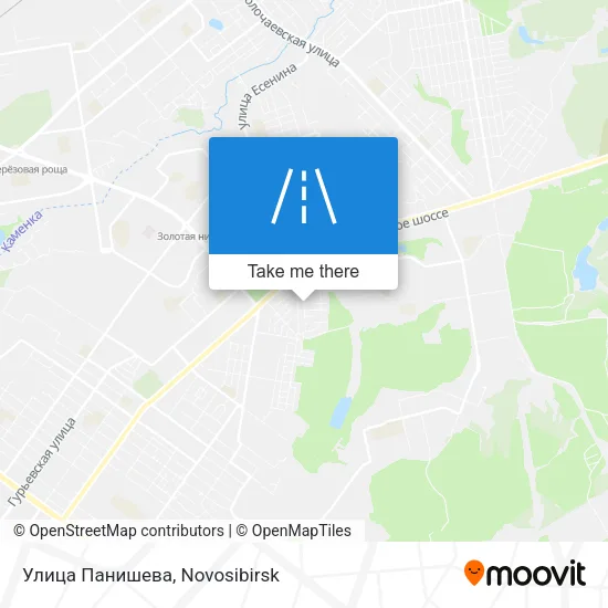 Улица Панишева map