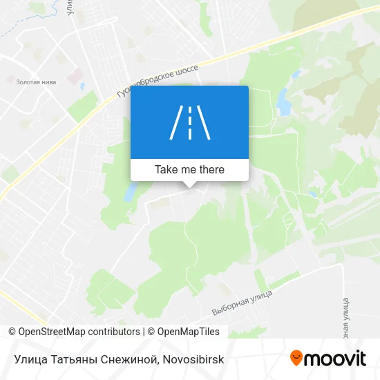 Улица Татьяны Снежиной map