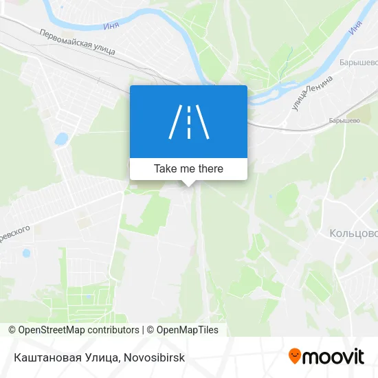 Каштановая Улица map