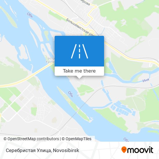 Серебристая Улица map