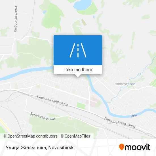 Улица Железняка map