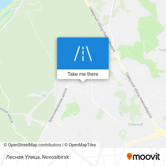 Лесная Улица map