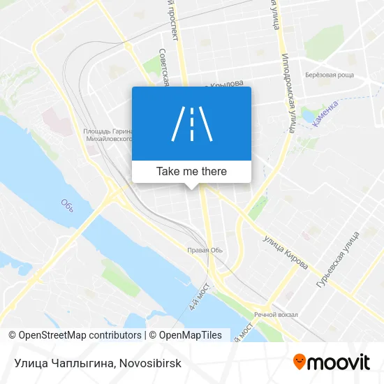 Улица Чаплыгина map