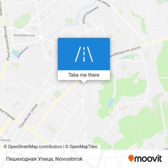 Пешеходная Улица map