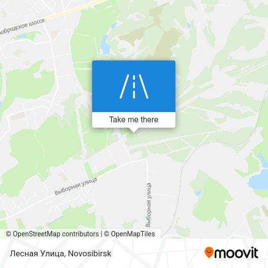 Лесная Улица map