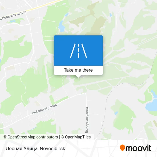 Лесная Улица map