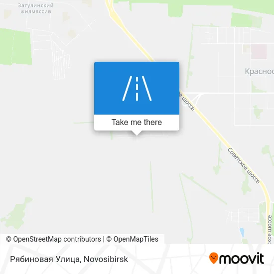 Рябиновая Улица map