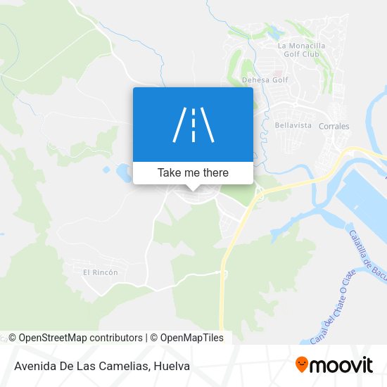 Avenida De Las Camelias map