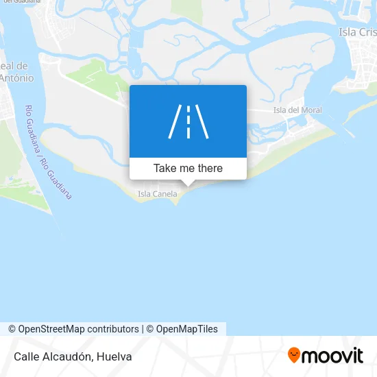Calle Alcaudón map