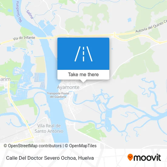 Calle Del Doctor Severo Ochoa map