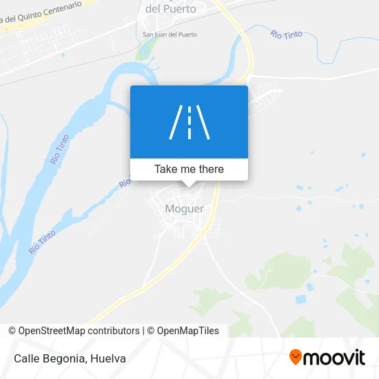 Calle Begonia map