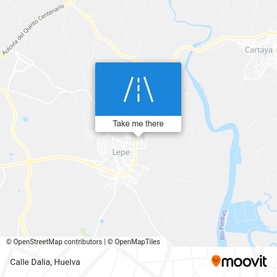 Calle Dalia map
