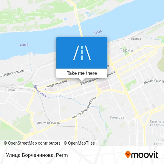 Улица Борчанинова map